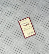 tuesdays with morrie an old man a young man and lifes greatest lesson by mitch albom 1
